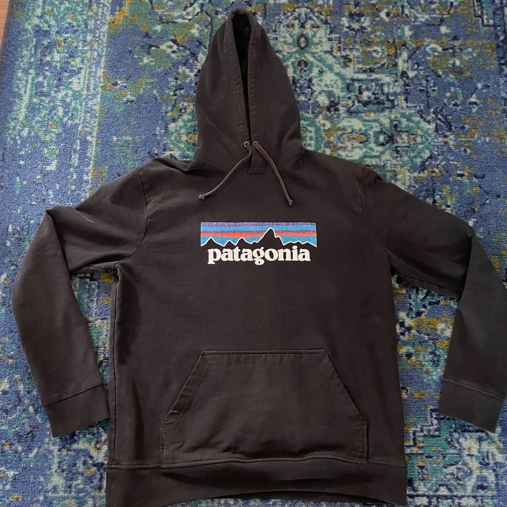 Patagonia Hoodie Men’s Large in Black